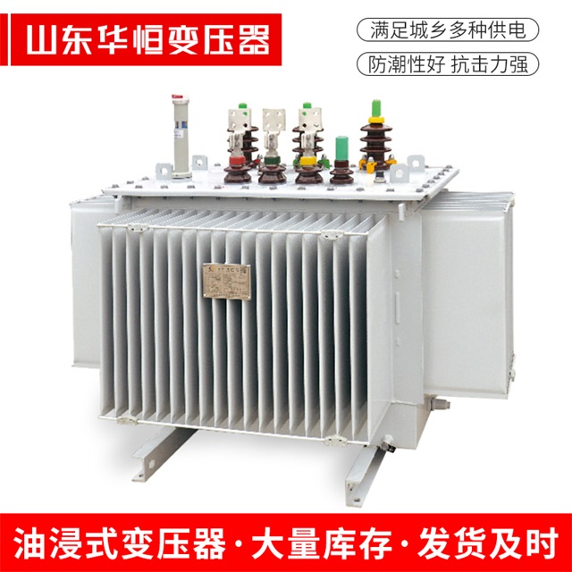 S13-10000/35冠县冠县冠县电力变压器